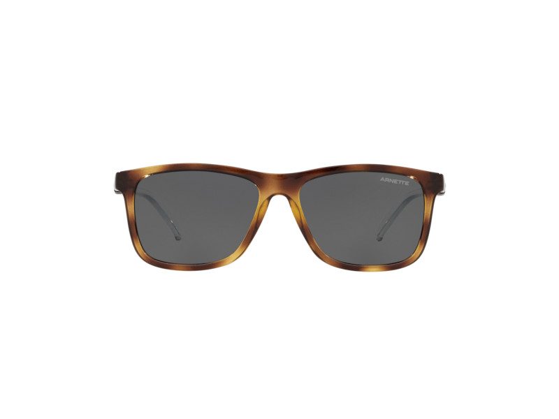 Arnette Dude AN 4276 273287 56 Men sunglasses