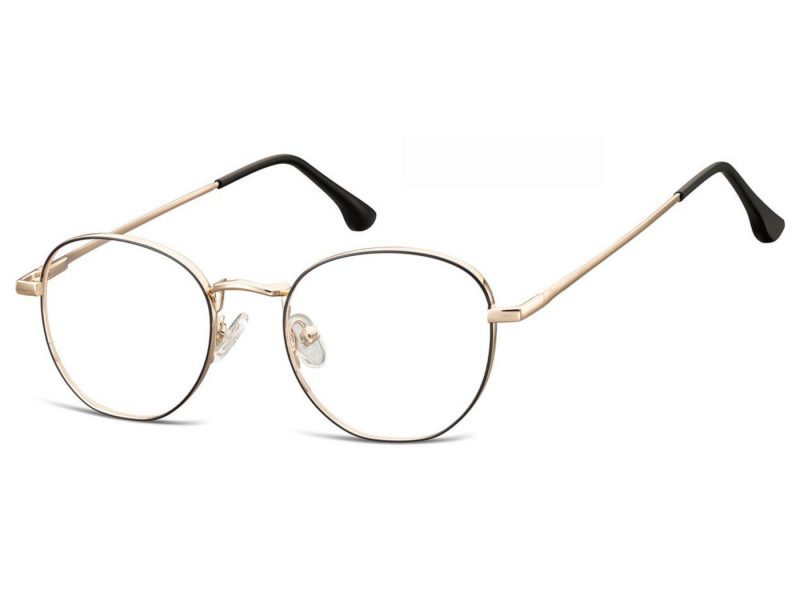 Berkeley computer glasses M298B