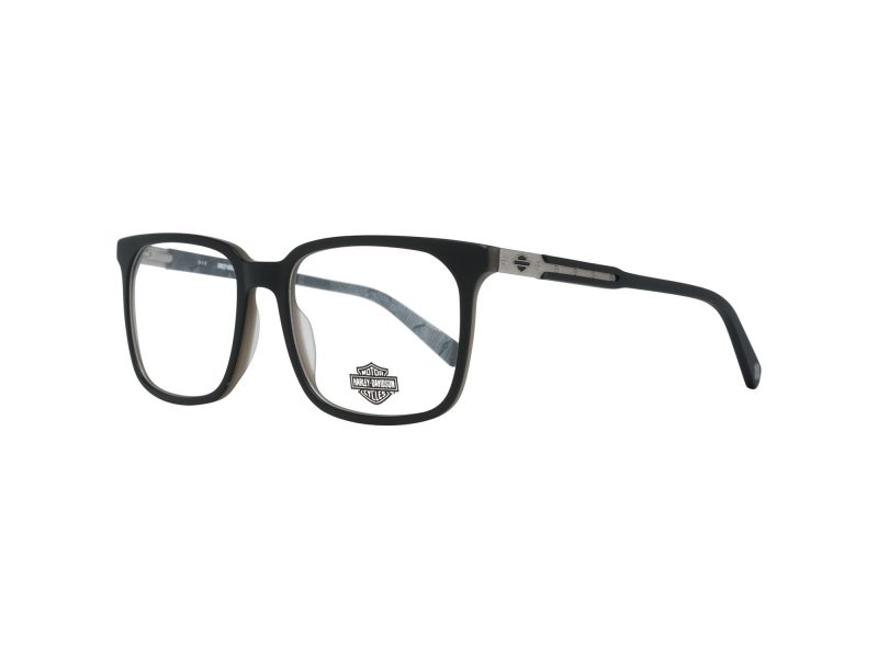 Harley-Davidson HD 0788 001 55 Men glasses