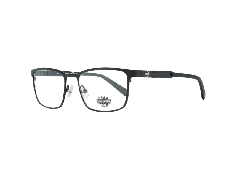 Harley-Davidson HD 0789 002 53 Men glasses