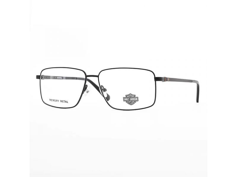 Harley-Davidson HD 0918 002 58 Men glasses