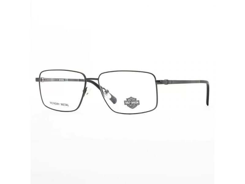 HD 0918 009 58 Men glasses