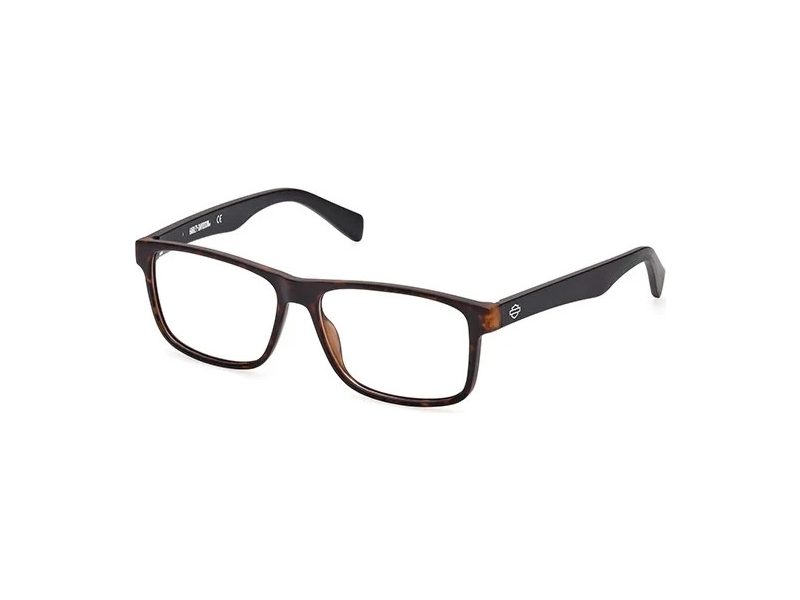 HD 0919 052 56 Men glasses