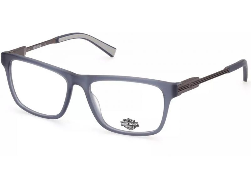 Harley-Davidson HD 9008 091 58 Men glasses