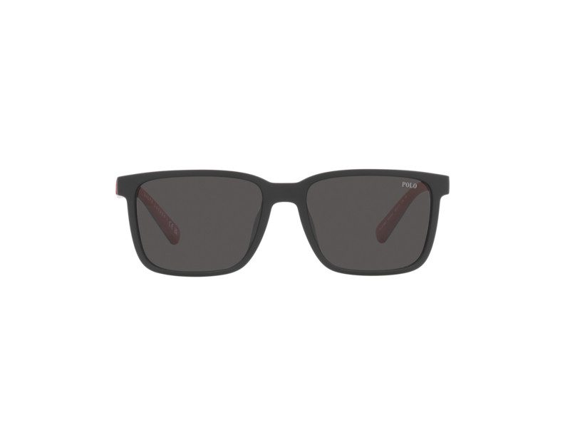 Polo PH 4189U 5375/87 55 Men sunglasses