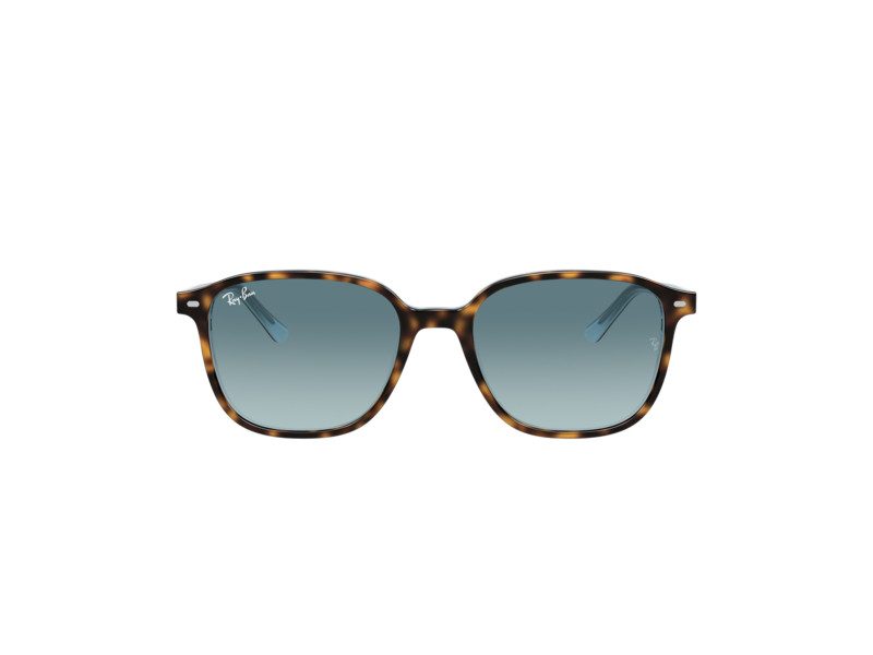 Ray-Ban Leonard RB 2193 1316/3M 51 Men, Women sunglasses