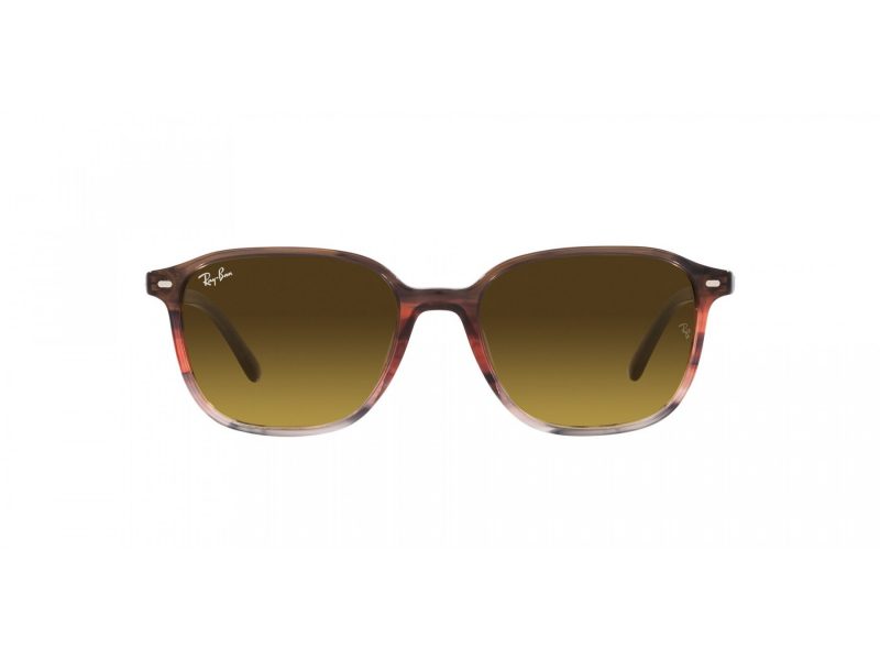 Ray-Ban Leonard RB 2193 138085 51 Men, Women sunglasses