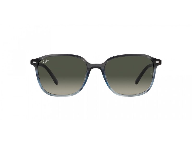 Ray-Ban Leonard RB 2193 138171 53 Men, Women sunglasses