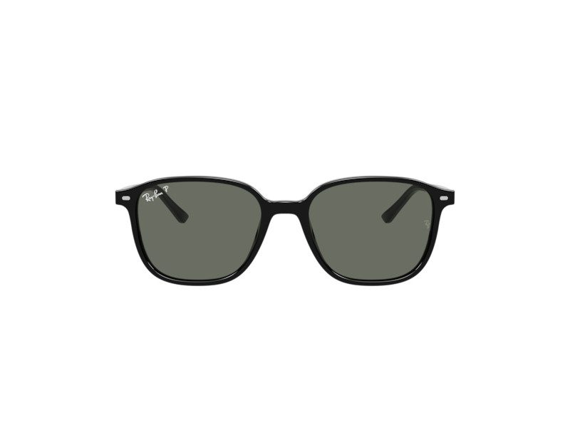 Ray-Ban Leonard RB 2193 901/58 53 Men, Women sunglasses