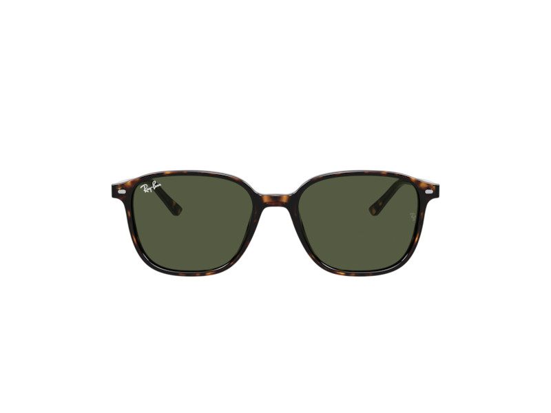 Ray-Ban Leonard RB 2193 902/31 55 Men, Women sunglasses