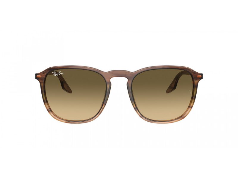 Ray-Ban RB 2203 13920A 55 Men, Women sunglasses