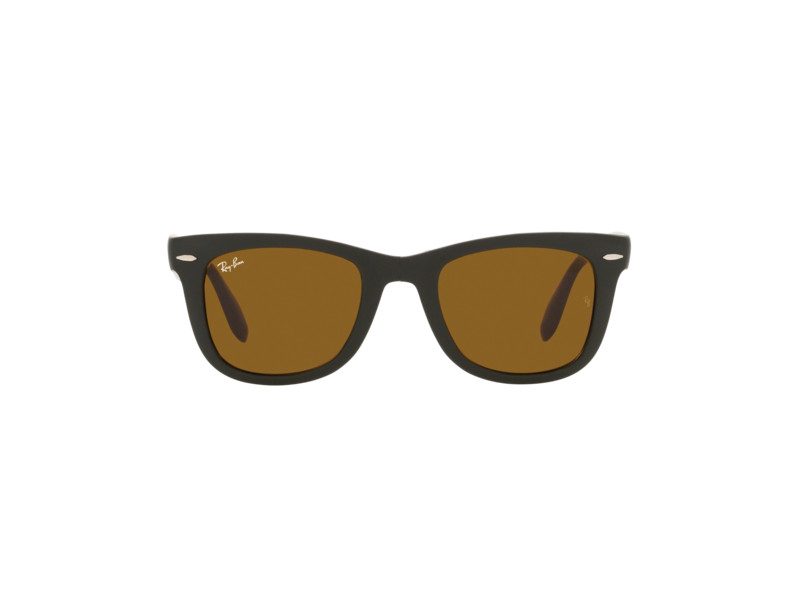 Mens wayfarer sunglasses tortoise shell sale