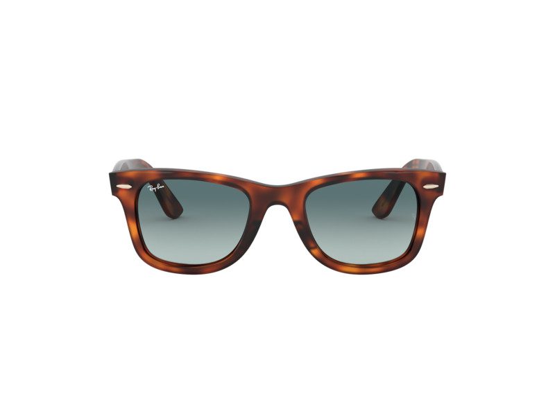 Mens tortoise shell outlet sunglasses ray ban