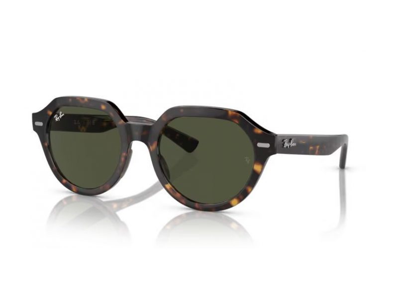 Ray-Ban Gina RB 4399 902/31 51 Men, Women sunglasses