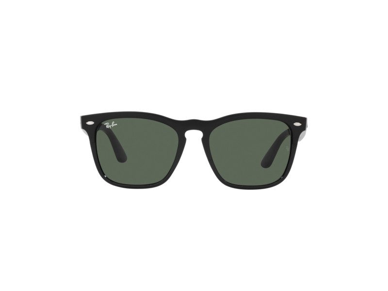 Ray-Ban Steve RB 4487 6629/71 54 Men, Women sunglasses