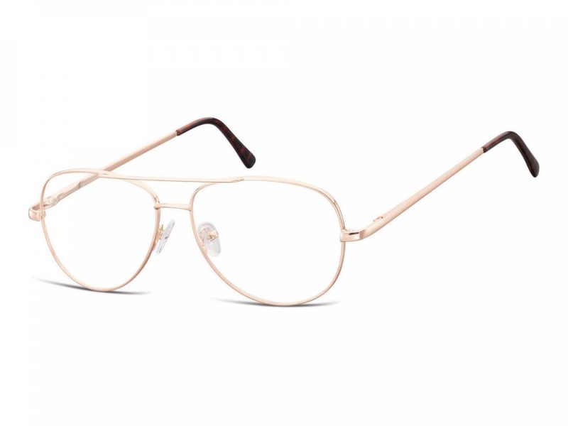 Berkeley glasses 790C