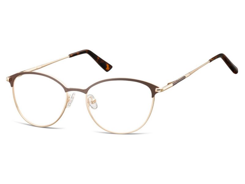 Berkeley glasses 891B