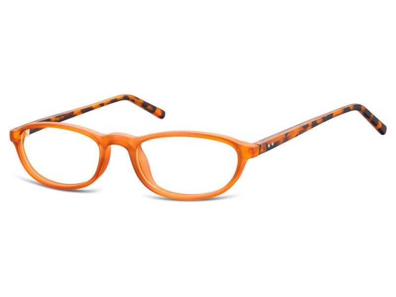 Berkeley glasses CP131D