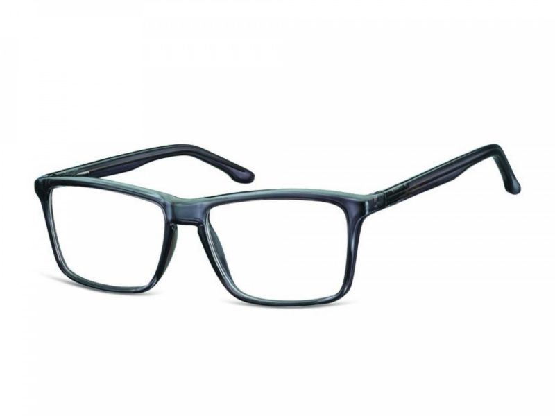 Berkeley glasses CP175 F