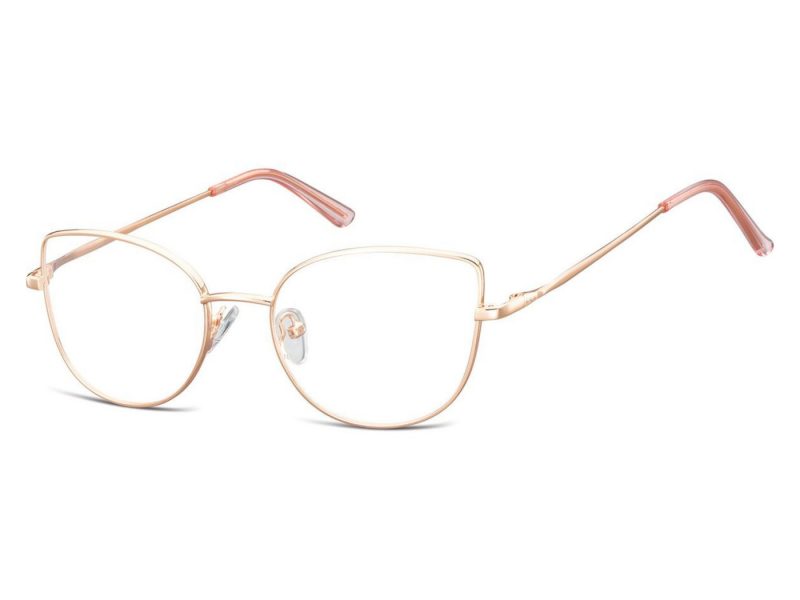 Berkeley glasses L119F