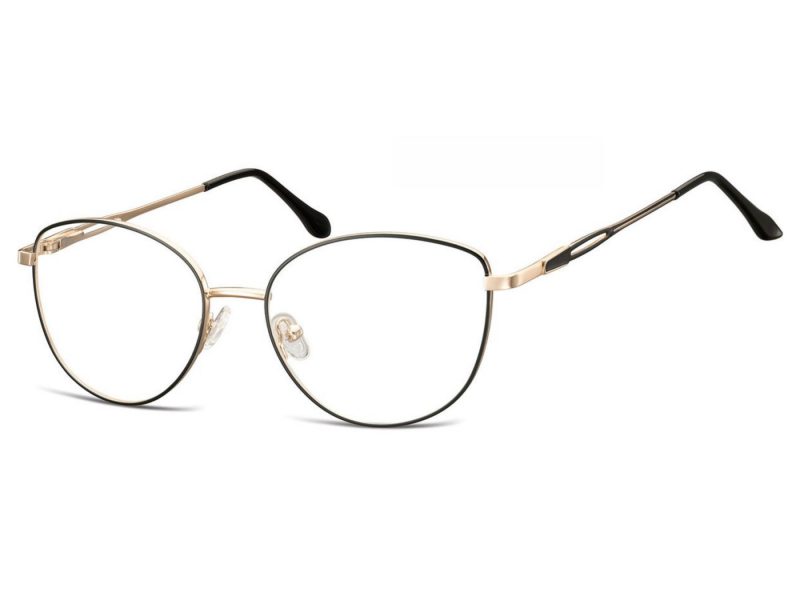 Berkeley glasses M296A