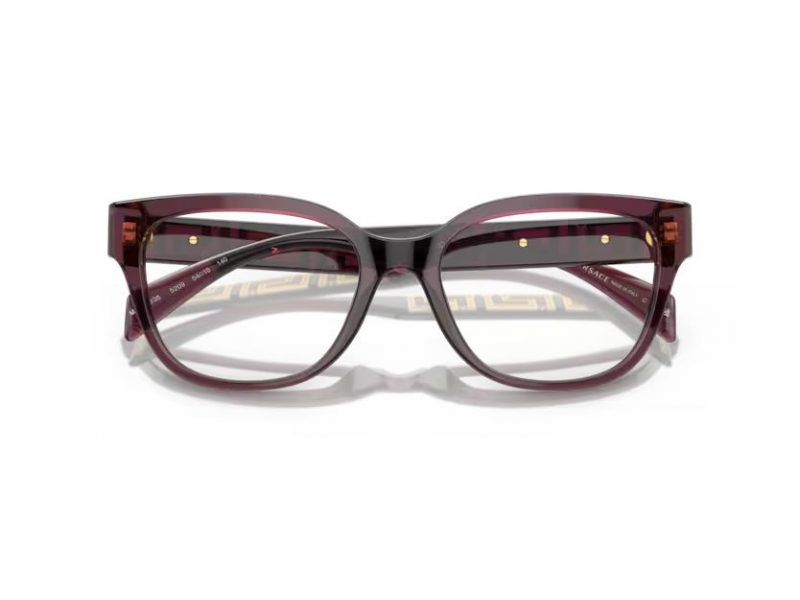 Versace VE 3338 5209 54 Women glasses