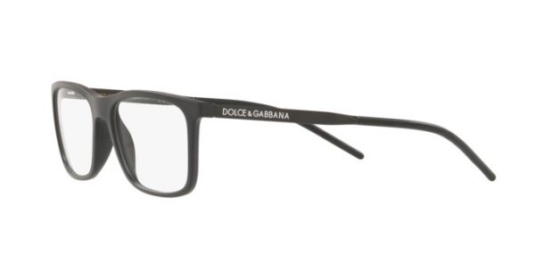 dg logo glasses