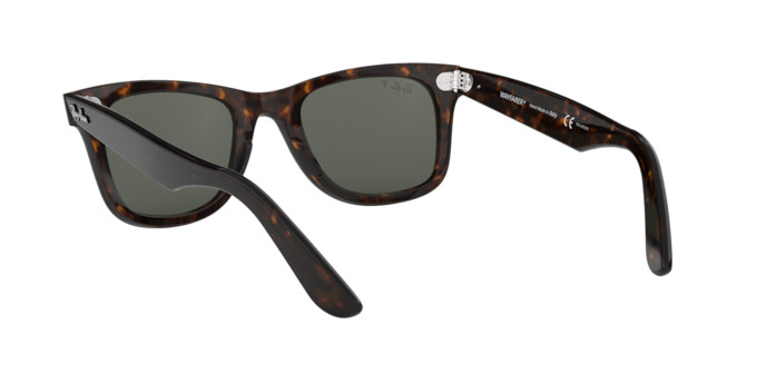 ray ban tiger sunglasses